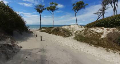 Top-zentrale, ruhige FeWo mit Garten: nur 280m zum Strand + bevorzugte Ortslage!