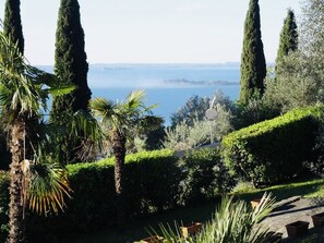 Un jardin aménagé avec de grands cyprès, des palmiers et des haies soigneusement taillées.