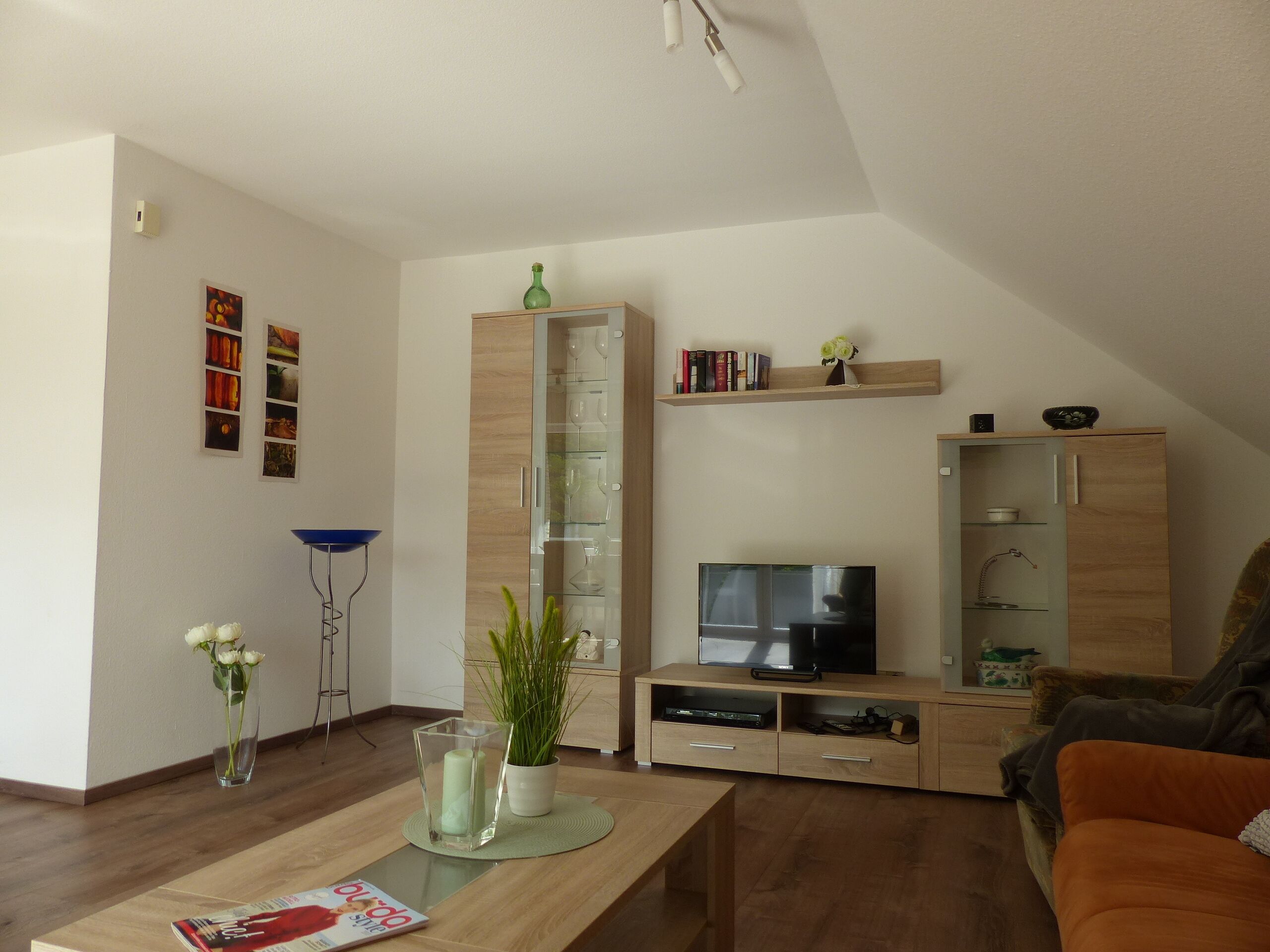 Télévision, lecteur de DVD, livres