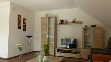 Télévision, lecteur de DVD, livres