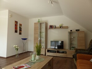 Televisión, reproductor de DVD y libros 