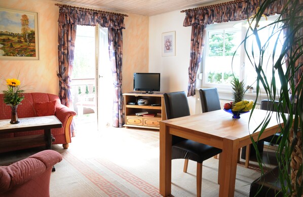 TV, DVD player, books, video library