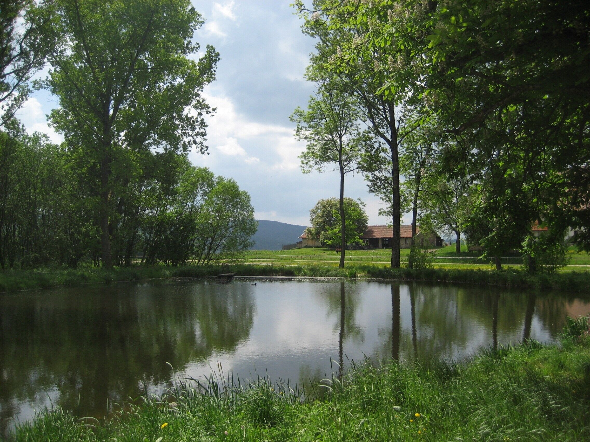 A serene lakeside scene with a house in the background.