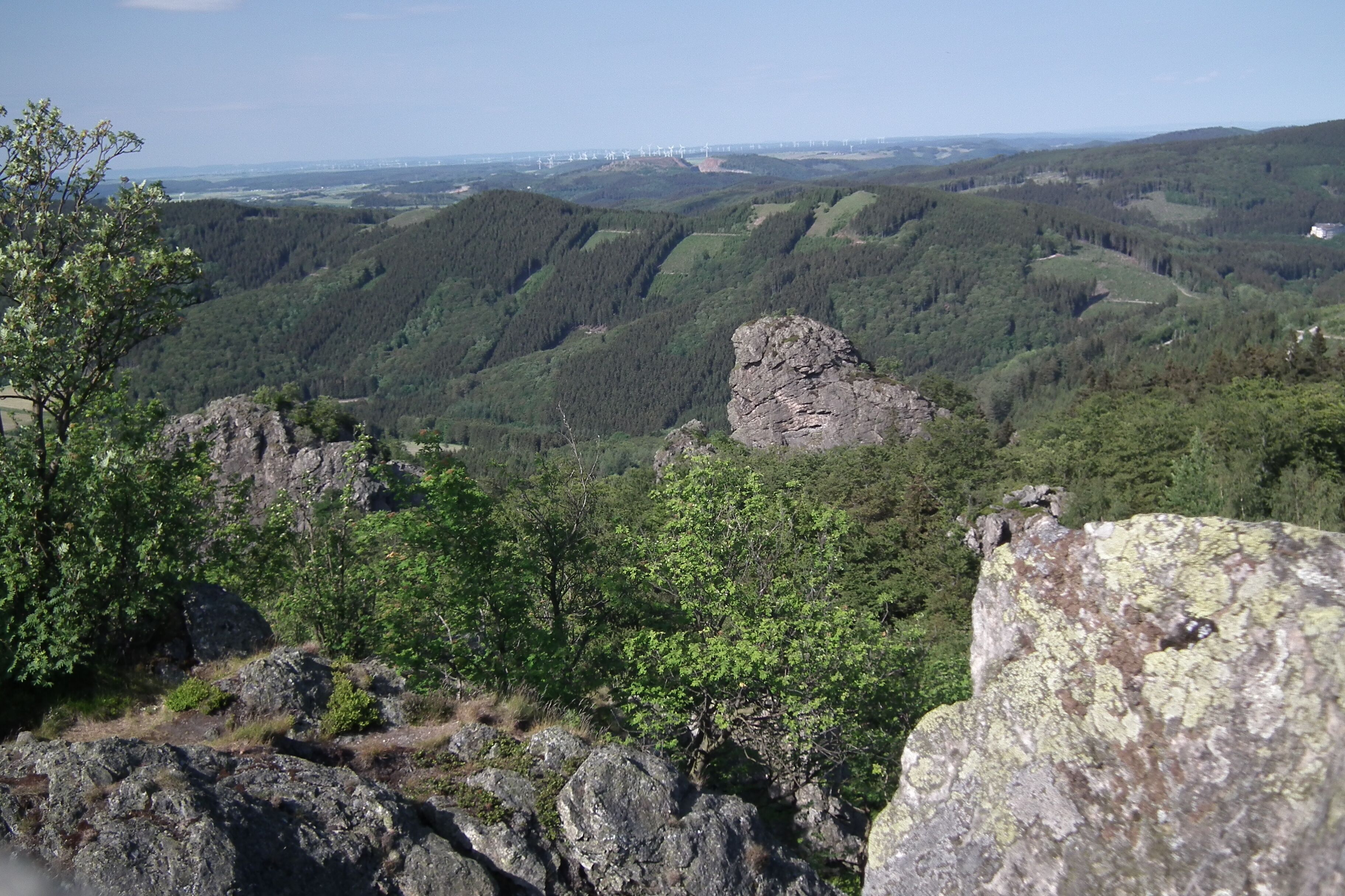 Een bergachtig landschap met rotsachtige uitstulpingen en dicht bos.
