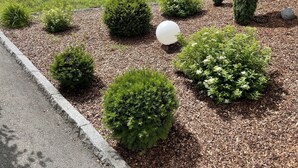 A landscaped garden with various shrubs and a white spherical object. - Vacation apartment**** with sauna, herbal steam bath, solarium and fitness room (Fontanella)