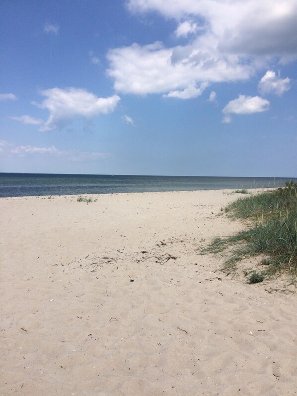 Una spiaggia nelle vicinanze, lettini da mare