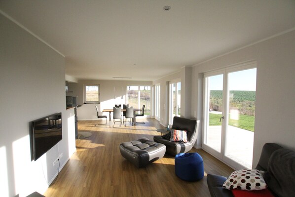 Smart TV, fireplace, books