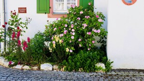 Un bâtiment avec une porte verte, une fenêtre ornée de rideaux blancs et une enseigne indiquant « Boorhausstraße ».