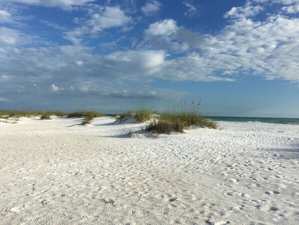 Plage à proximité, chaises longues, serviettes de plage