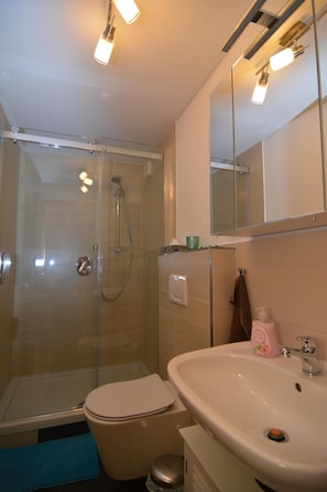 Hair dryer, towels, soap, toilet paper