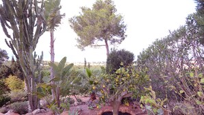 Property grounds - Not available (Xàbia)