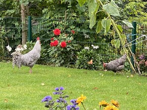 Unterkunftsgelände