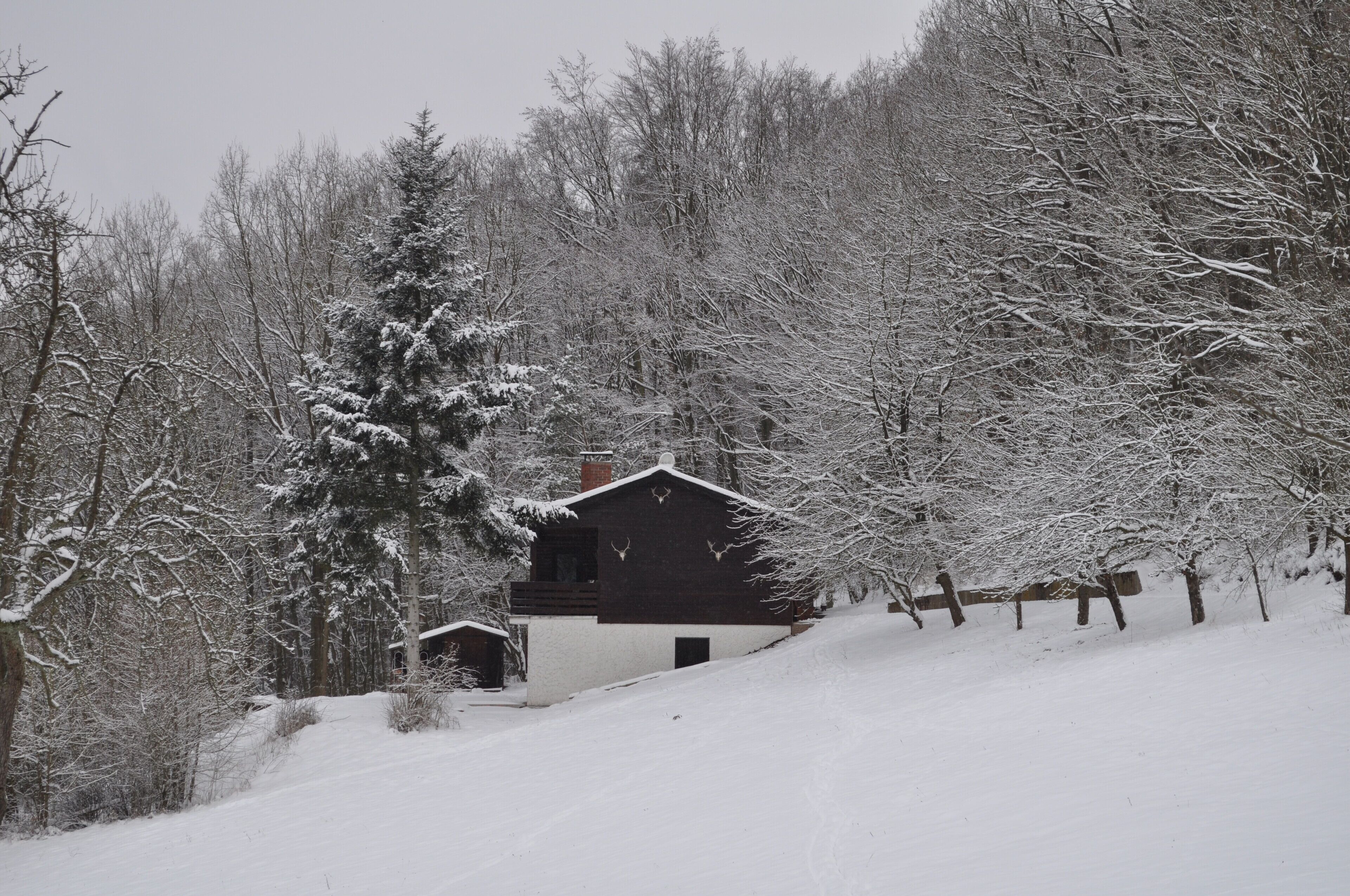 Winter mit viel Schnee