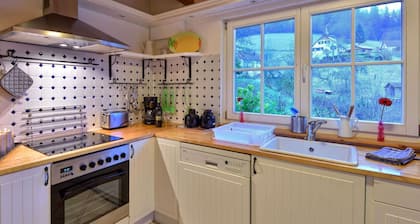 Beautiful Wood house: 170m², fenced garden, sauna, two fireplaces, wifi, next to forest