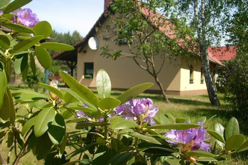 at the forest, lake, rest and relaxation, comfortably furnished, large garden,