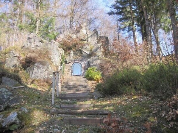 Property grounds - Quiet edge of the forest with a beautiful panorama (Losheim am See)