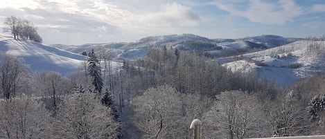 Terrain de l’hébergement