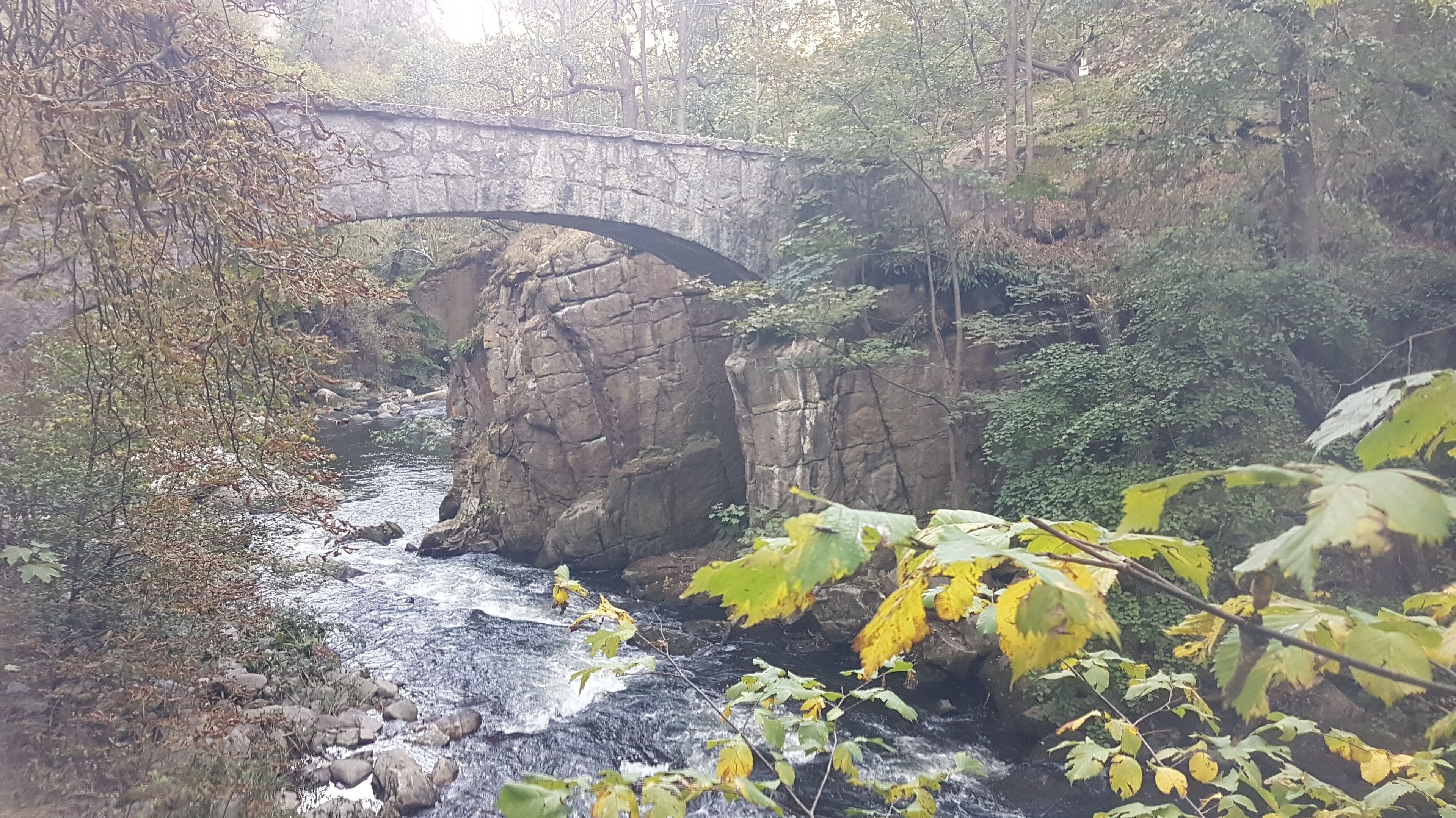 A stone bridge over a river in a forested area.