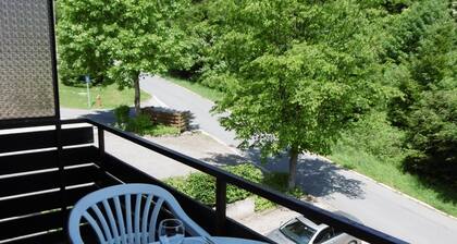 Renovated apartment near Wurmberg cable car, hiking trails and cross-country trails