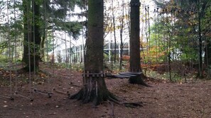 A forested area with a swing set and a bench.