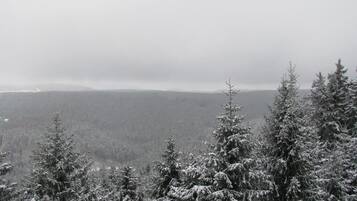 Un paysage forestier enneigé, avec de nombreux arbres à feuilles persistantes.