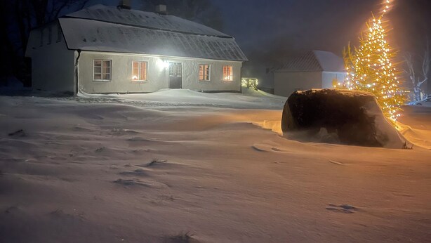 Een besneeuwd landschap met een huis en een versierde kerstboom.