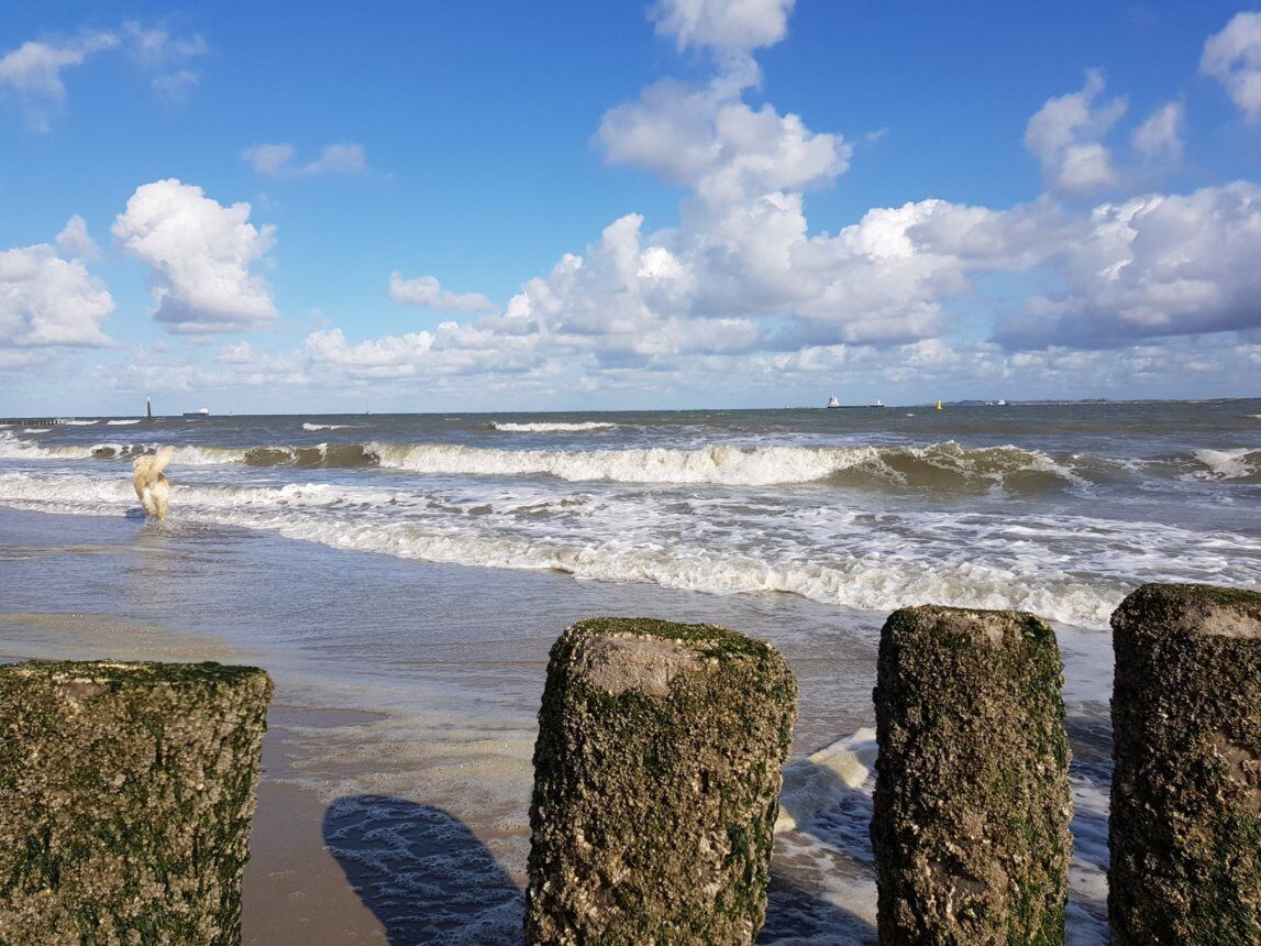 Beach nearby, sun loungers