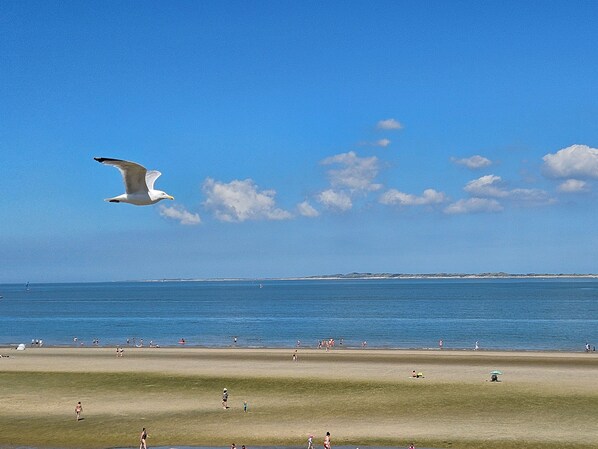 Beach nearby, sun loungers