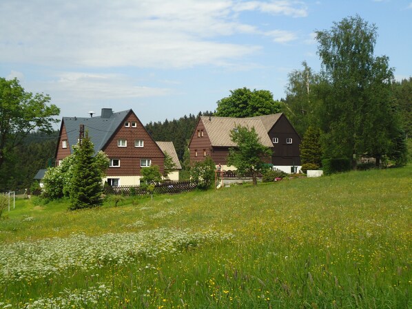 A traditional European-style house with a sloped roof, surrounded by a lush green field and trees. - Vacation where you can sleep peacefully with the window open (Rechenberg-Bienenmühle OT Holzhau)
