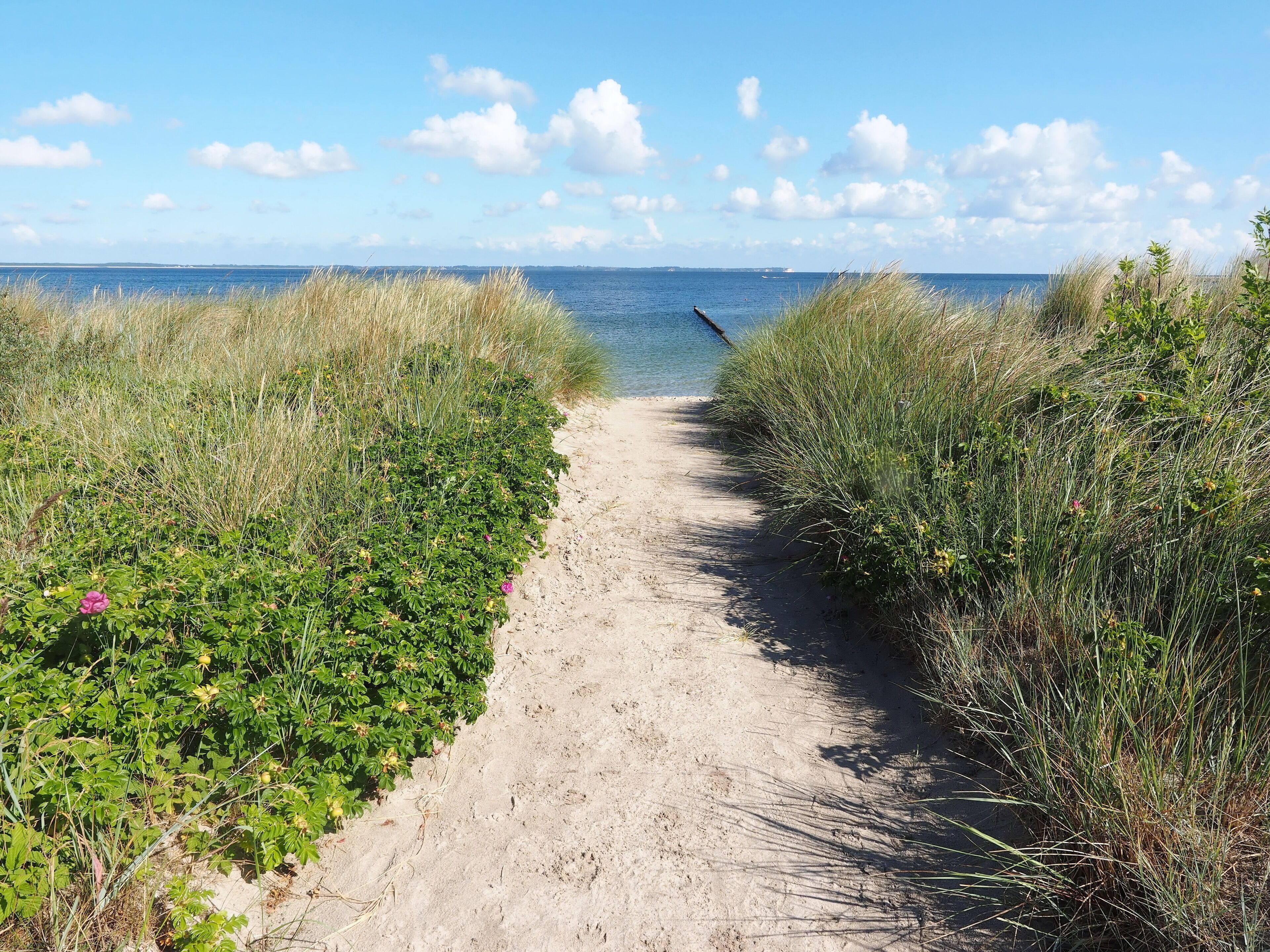 Ranta lähistöllä, aurinkotuoleja