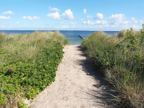 Een zandpad, omzoomd door hoge gras, dat naar een waterpartij leidt.