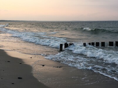 Enjoy the autumn under the thatched roof - close to the beach, comfortable, Wi-Fi, sauna, dog willk.