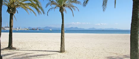 Ligstoelen aan het strand