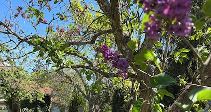 Vacaciones relajantes en un apartamento de 4 estrellas recientemente renovado en medio del sur de la Selva Negra