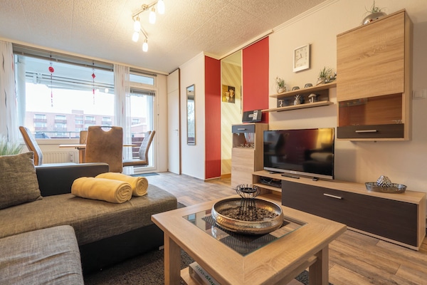 TV, DVD player, books, music library