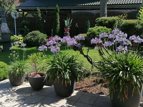 Green oasis in Berlin Biesdorf holiday home