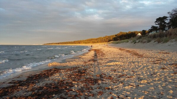 Plage à proximité