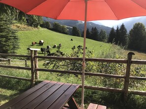 A wooden bench under a red umbrella overlooking a grassy field with cows. - romantic mountain hut in the Kitzbühel Alps for skiing and hiking holidays. (Kirchberg in Tirol)