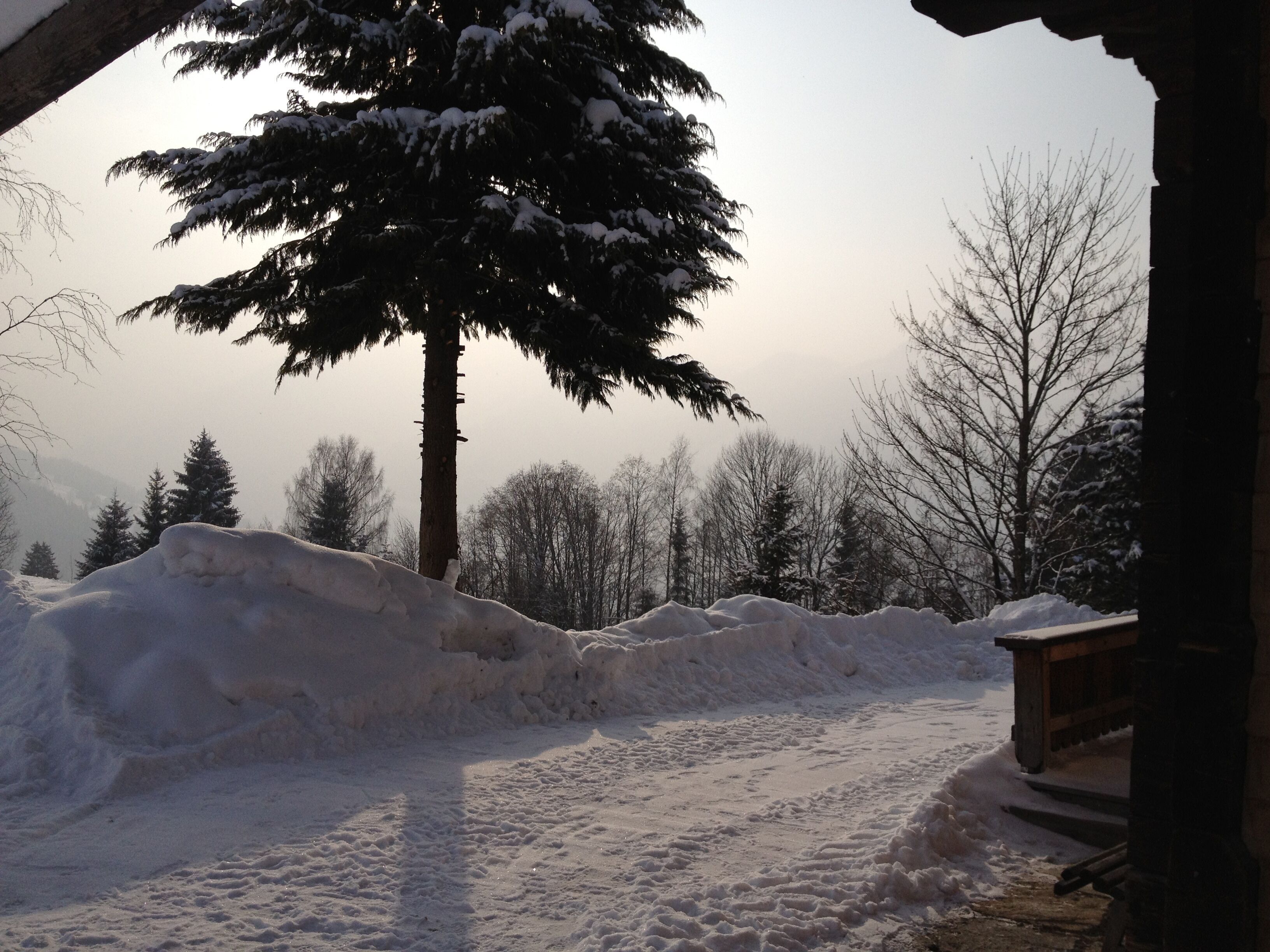 Eine verschneite Winterlandschaft mit einem großen, mit Schnee bedeckten Baum und einer Holzhütte.