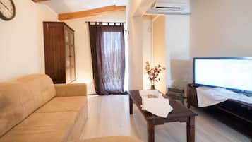 Älytelevisio, takka, DVD-soitin, kirjoja