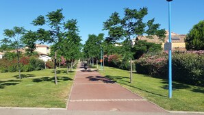 Ein gepflasterter Weg, gesäumt von gleichmäßig angeordneten Bäumen und Sträuchern, der zu einem Wohngebiet mit Häusern führt.