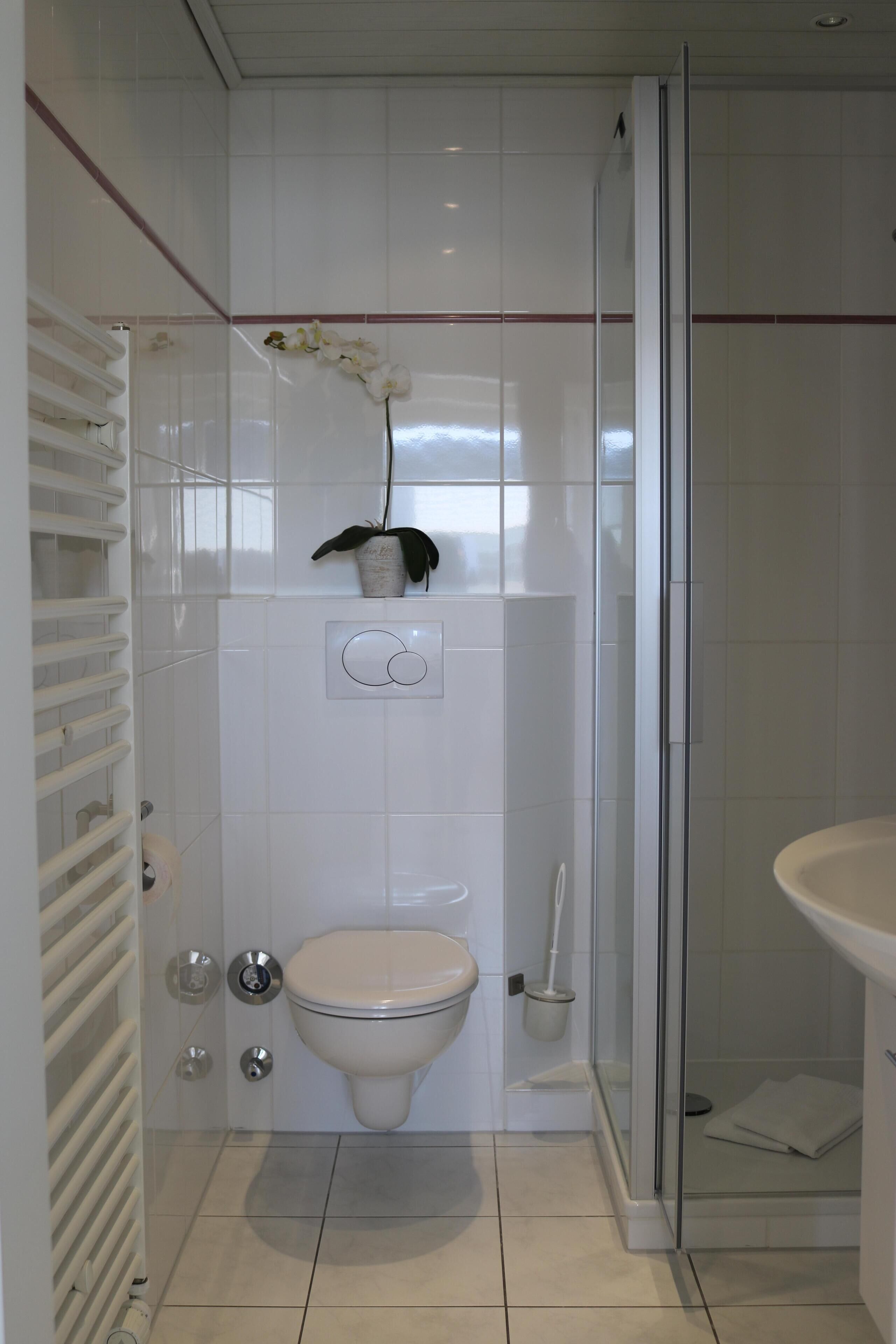 A modern bathroom with a toilet, a glass shower enclosure, and a white sink.