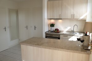 Fridge, oven, stovetop, dishwasher