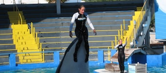 Spacieuse villa avec beheizb. Piscine d'eau de mer concentrée directement sur le lac, cÎté sud
