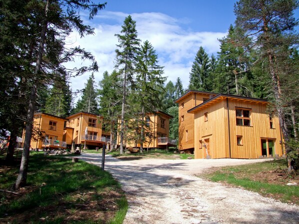 A wooden cabin-style building with a dirt path leading to it, surrounded by tall pine trees.