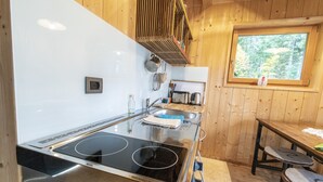 A compact kitchen with a black stovetop, a sink, and wooden walls.