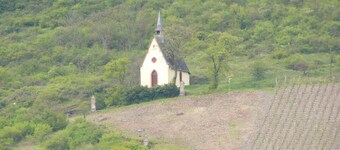 Modern apartment on the Moselle, near Cochem, between Koblenz + Trier