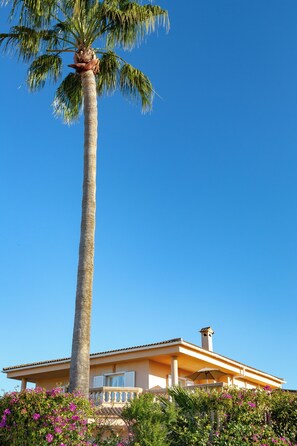 Exterior detail - Enjoy the autumn in a beautiful villa, pool, wifi, airconditioning 10 min.-Palma (Palma Marratxi)