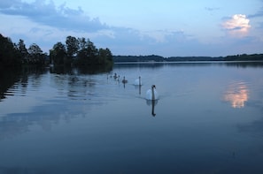 Lago