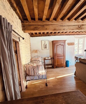 TV, fireplace, DVD player, books